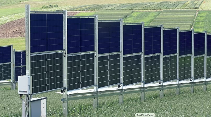 Vertikale Agri-PV-Anlagen ermöglichen die Feldnutzung für Getreideanbau, erhöhen die Bodenfeuchtigkeit und dienen als Schutz gegen Winderosion.