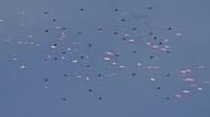 A coordinated swarm of drones advances during a South Korean Air Force exercise on June 23, 2026.