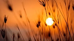 فواید تماشای غروب خورشید 