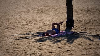 Un hombre se resguarda del sol a la sombra de una palmera en una playa de Barcelona, ​​España, el miércoles 27 de mayo de 2026.