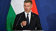 Magyar Péter a gödöllői V4-ek találkozón