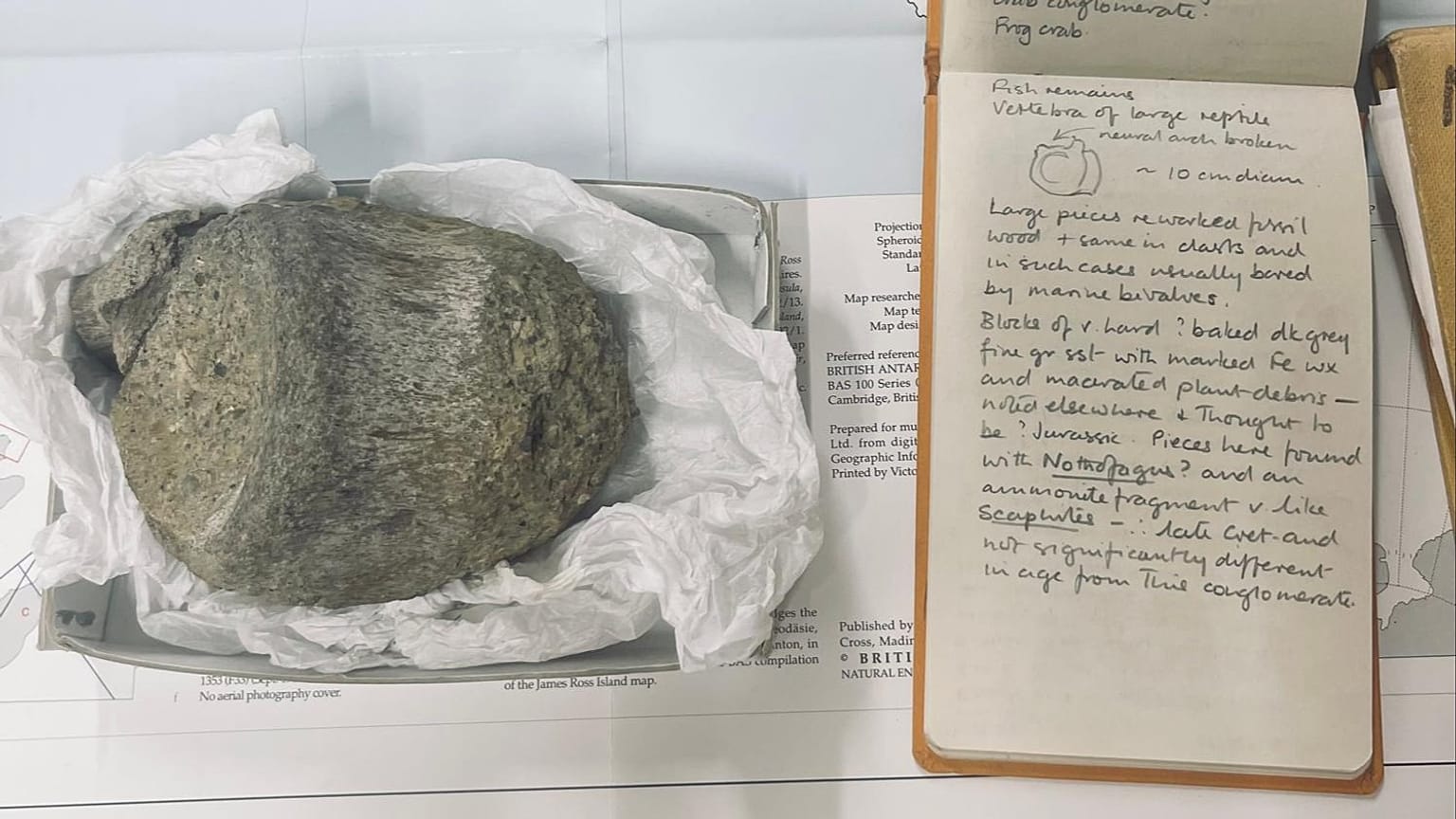 El cuaderno de campo geológico de 1985 perteneciente a Thomson, del British Antarctic Survey, junto a la primera vértebra fósil de dinosaurio encontrada en la Antártida.