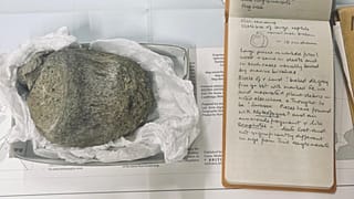 El cuaderno de campo geológico de 1985 perteneciente a Thomson, del British Antarctic Survey, junto a la primera vértebra fósil de dinosaurio encontrada en la Antártida.