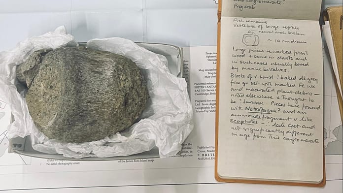 First Antarctic dinosaur fossil confirmed nearly 40 years after discovery