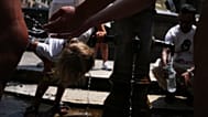 "Recognise extreme heat as a health crisis and act before temperatures peak," Kluge said.