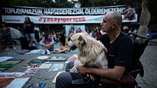 Hayvan hakları savunucuları, 23 Temmuz 2024 Salı günü geç saatlerde Ankara'daki bir halk bahçesinde günlerce süren bir protesto düzenliyor (Arşiv)