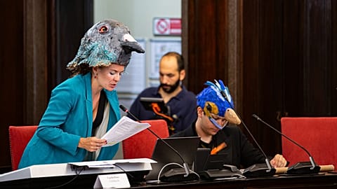 Milano Belediye Sarayı’nda kentsel hayvan hakları için güvercin, kurbağa ve böcekler buluştu