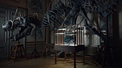 حقيبة جلدية "T-Rex"
