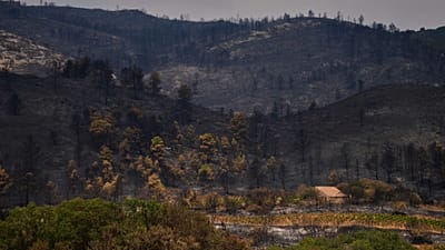 Foto AP