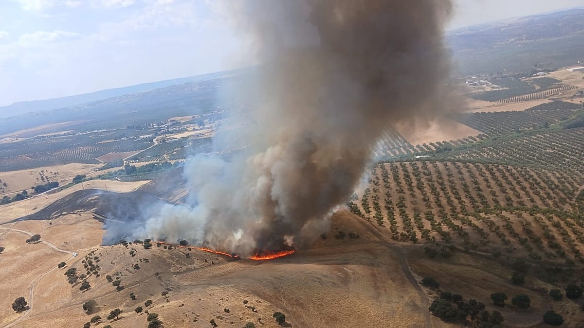Spain enters peak fire season with blazes active and 50,000 hectares burned
