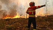 Portugal: mais de mil operacionais combatem incêndios no terreno