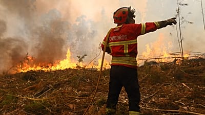 ARQUIVO (18.09.2024) Um bombeiro faz um gesto enquanto trabalha para extinguir um incêndio nos arredores de Sever do Vouga, uma localidade no norte de Portugal