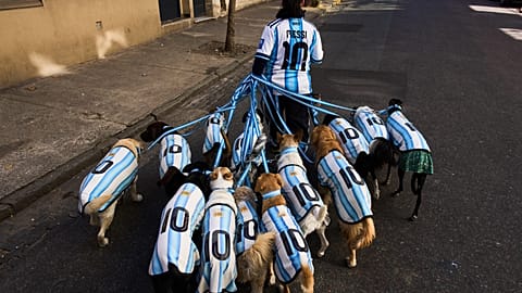El paseador de perros Nahuel Meneghini saca a los perros vestidos con camisetas de la selección argentina en Buenos Aires, Argentina, jueves, dos de julio de 2026.