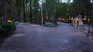 پارکی در یزد