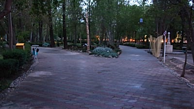 پارکی در یزد
