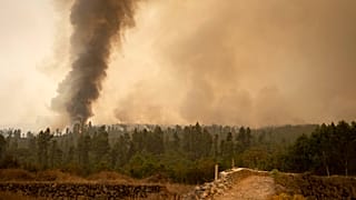 Imagen de recurso, fuego en Tenerife (2023)