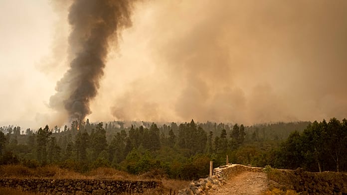 Forest fire figures in Spain in 2026 Spains wildfire season is intensifying, with nearly 50,000 hectares already burned. Cantabria has suffered the worst damage, June was the most destructive month and the country has recorded 14 major forest fires so far this year.