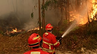 ARQUIVO (18.09.2024). Os bombeiros trabalham para extinguir um incêndio numa floresta de eucaliptos nos arredores de Sever do Vouga, uma localidade no norte de Portugal 
