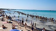 10.000 personas protestan con una cadena humana en Mallorca