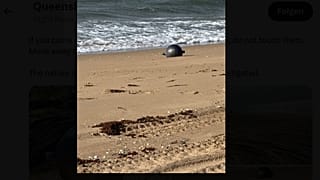 Spaceball am Strand in Australien