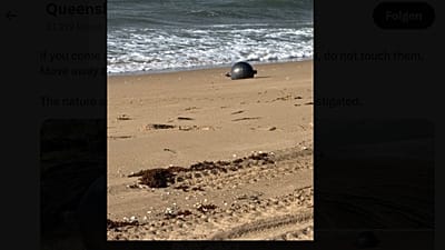 Spaceball na plaży w Australii
