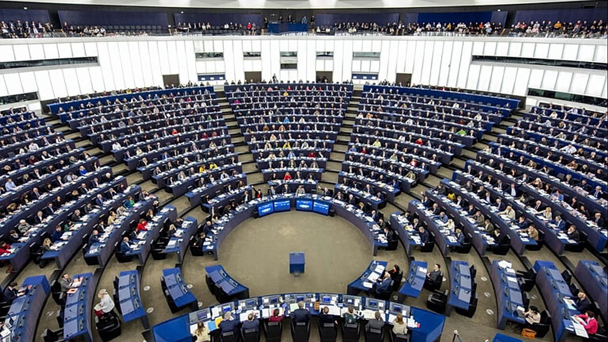 European Parliament triggers procedure to ban Alternative for Germany’s EU party