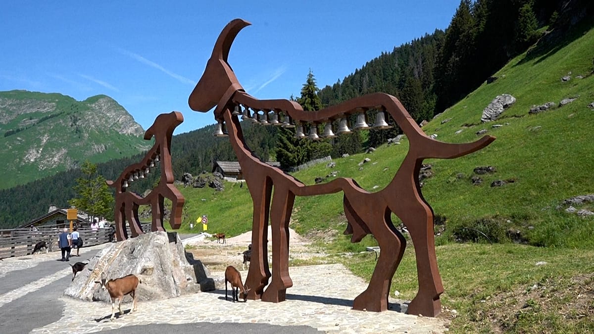 Goats roam free in this French Alpine village