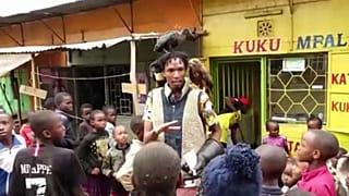 Kenya : un ancien sans-abri fait le buzz sur les réseaux en sauvant des oiseaux