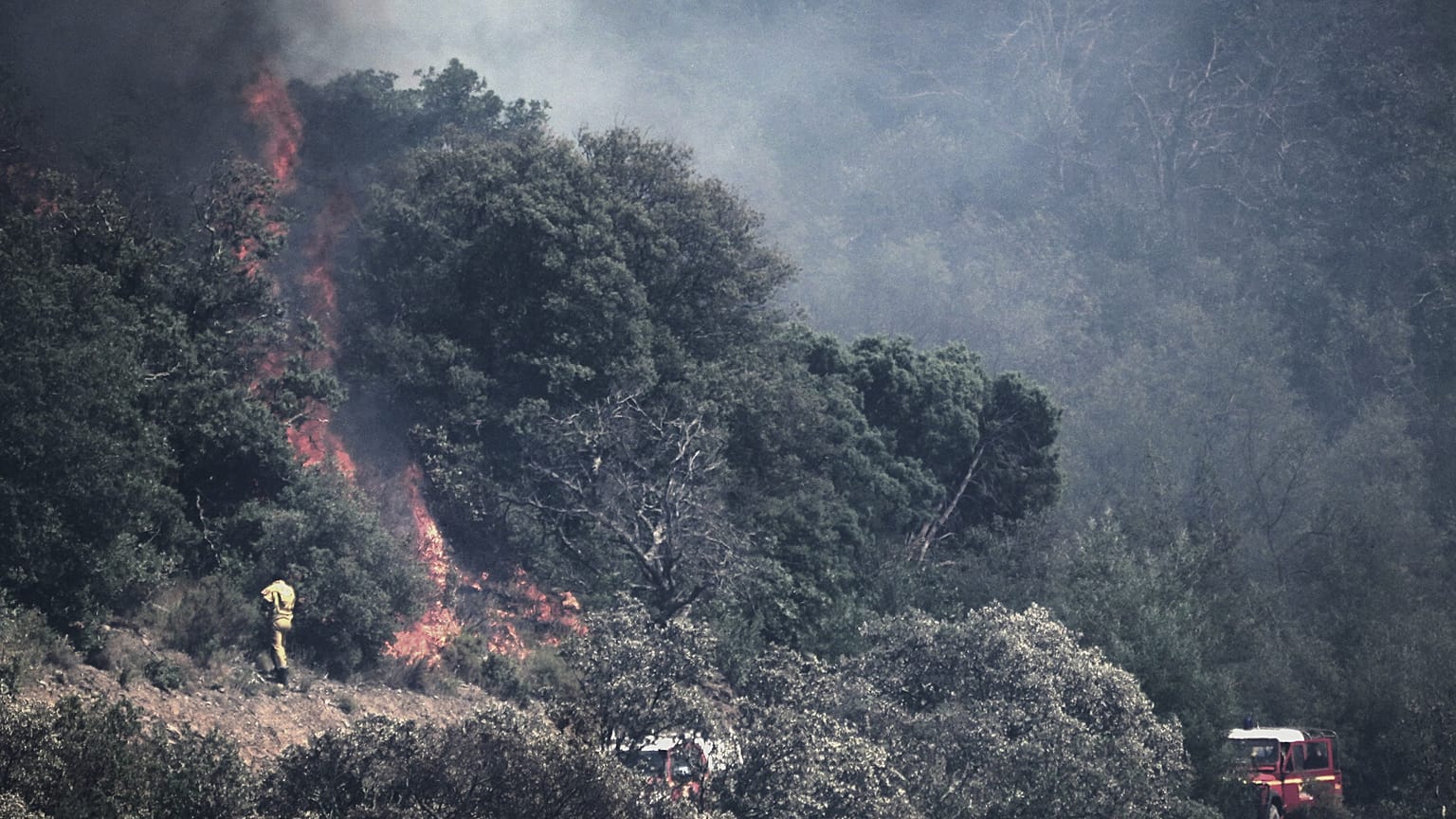 Des pompiers luttent contre un incendie de forêt près d'Ille-sur-Têt, dans le sud de la France, ce lundi 6 juillet 2026.