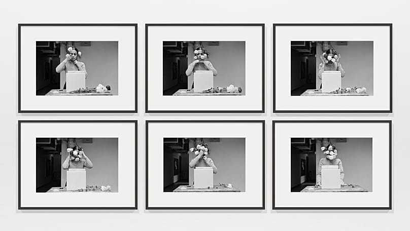 Ana Mendieta, Ohne Titel