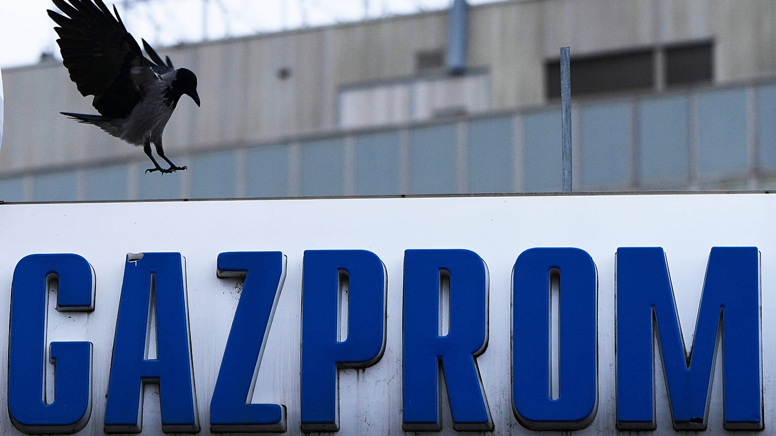 Logo firmy Gazprom