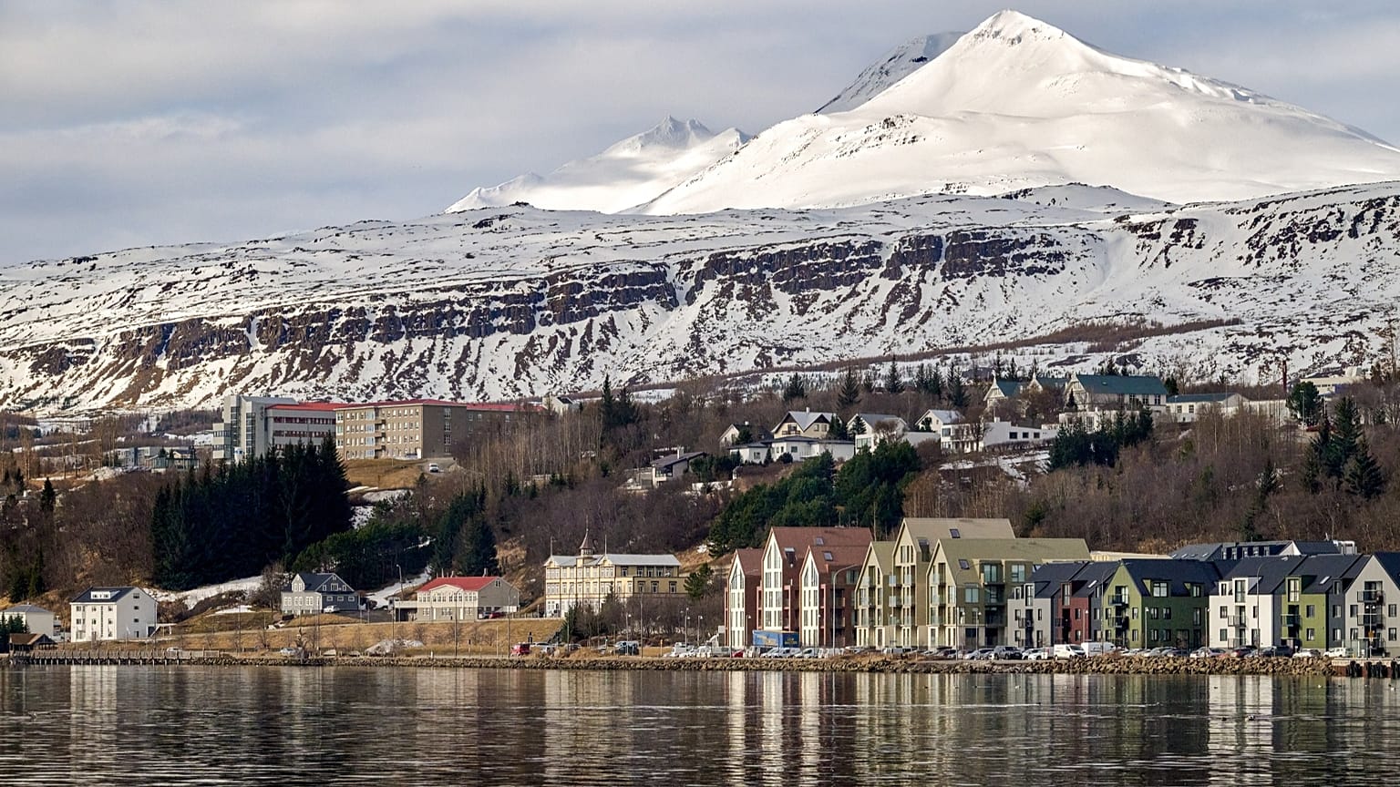 Skáld Akureyri, Curio Collection