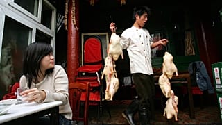 A Chinese man carries ducks to prepare in the traditional Peking style at a restaurant in a Huton in Beijing. 
