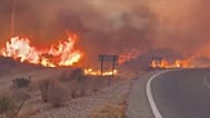 Fire that claimed the lives of 12 people in Bédar, Spain, 9 July, 2026.