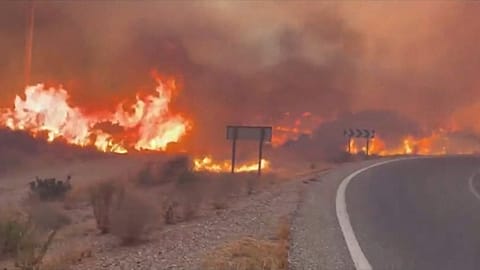 Fire that claimed the lives of 12 people in Bédar, Spain, 9 July, 2026.