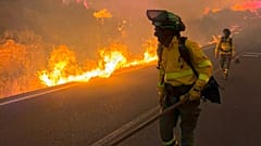 Bomberos trabajando sobre el terreno.