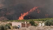 A wildfire rages in Alfajir near Almeria, 10 July, 2026