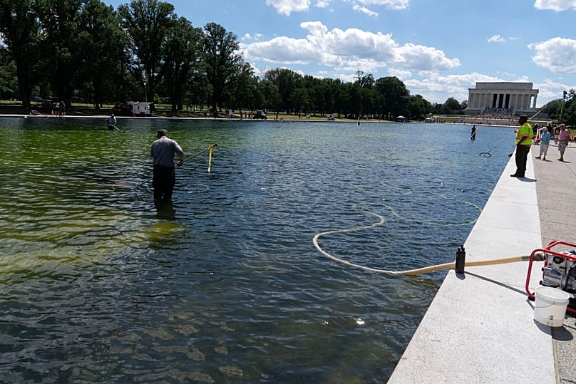 Members of the National Park Service uses a vacuum like device to remove algae from the Lincoln Memorial Reflecting Pool, 19 June, 2026