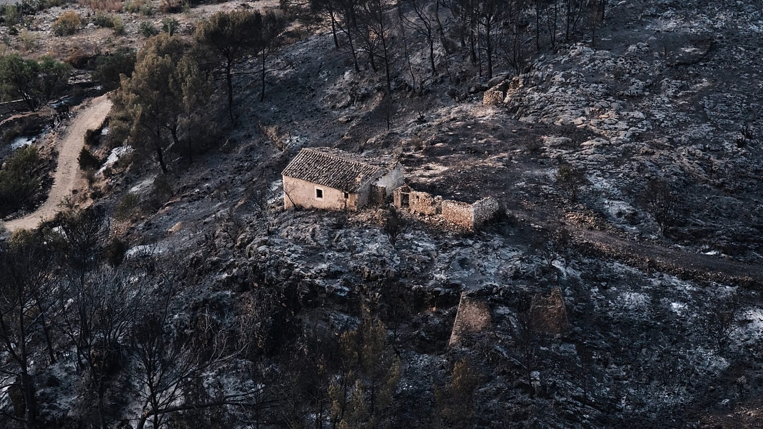 Imágenes que ha dejado a su paso el incendio de Los Gallardos, 11 de julio de 2026.