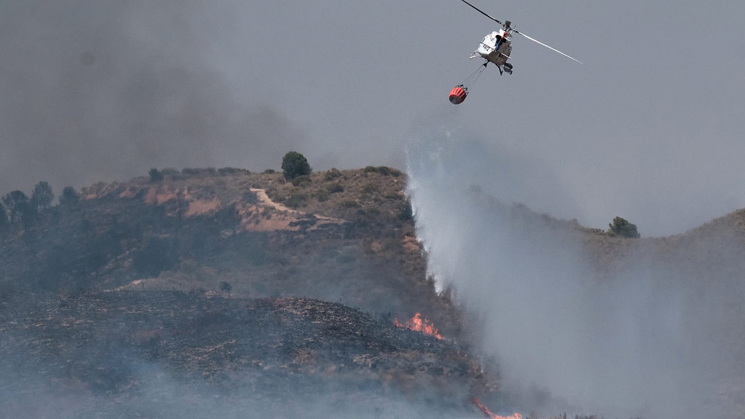 Incendio en la provincia de Almería, 11 de julio de 2026