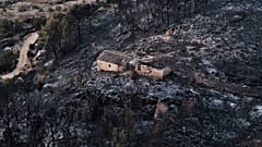 Imágenes que ha dejado a su paso el incendio de Los Gallardos, 11 de julio de 2026.