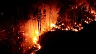 Droht nun auch hierzulande ein Flammeninferno? 
