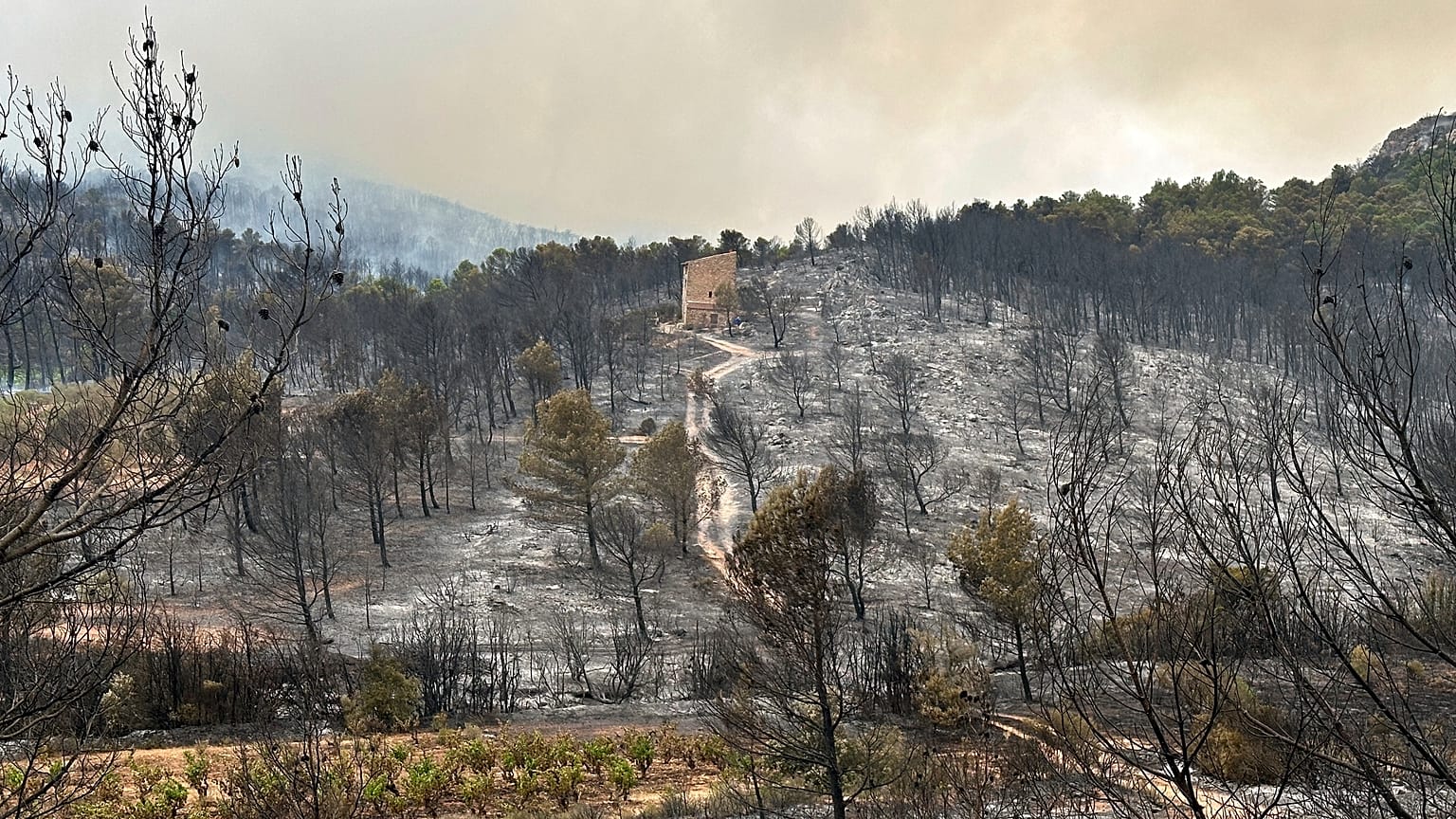 Un important incendie s'est déclaré dans le Maine-et-Loire ce dimanche 12 juillet 2026