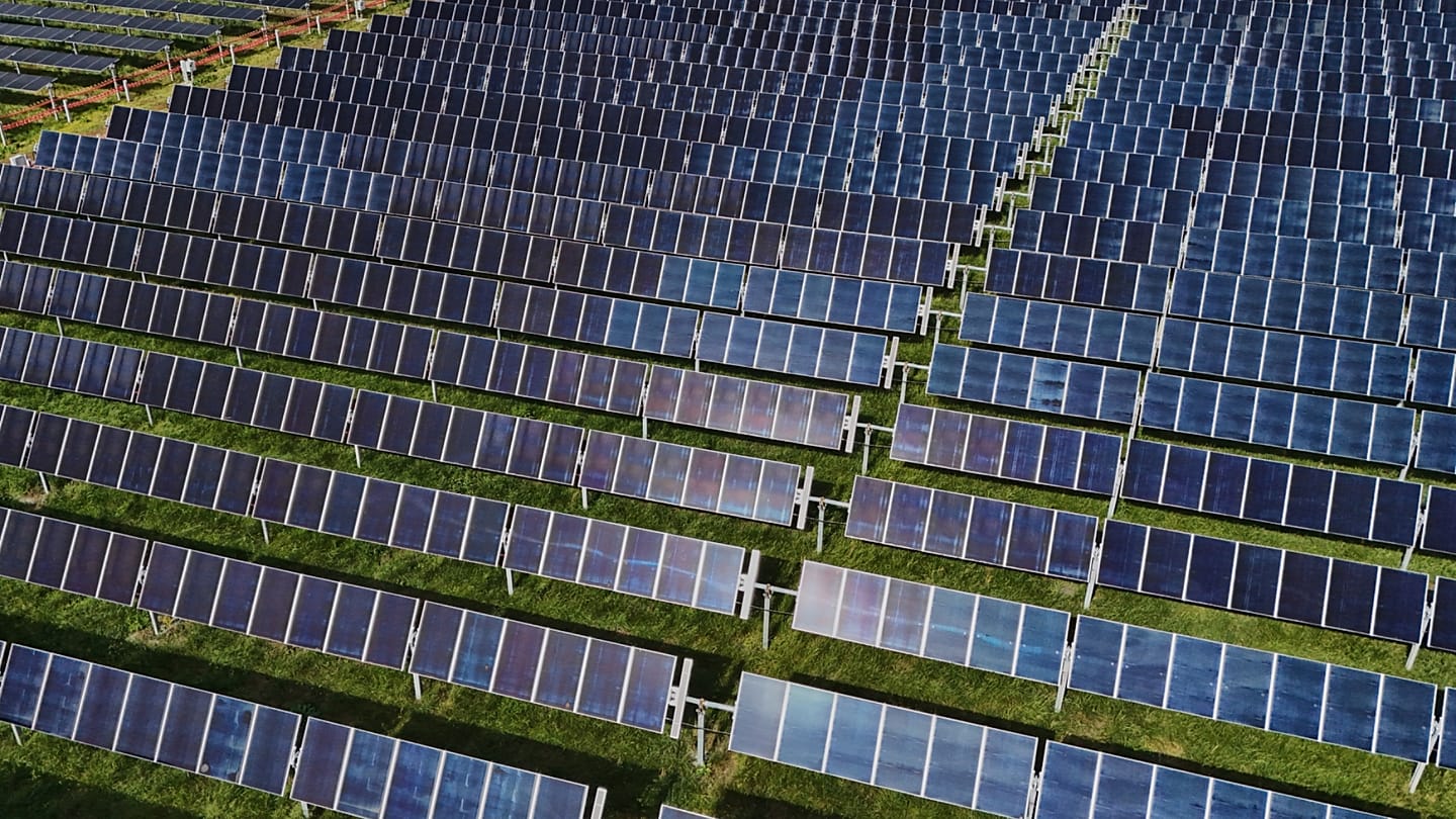 Why is Europe still wasting clean energy? Take our poll