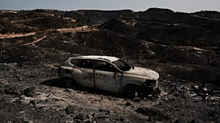 Verbrannte Landschaft nach Waldbränden bei Bedar nahe Almeria in Spanien, aufgenommen am Samstag, dem elften Juli 2026.