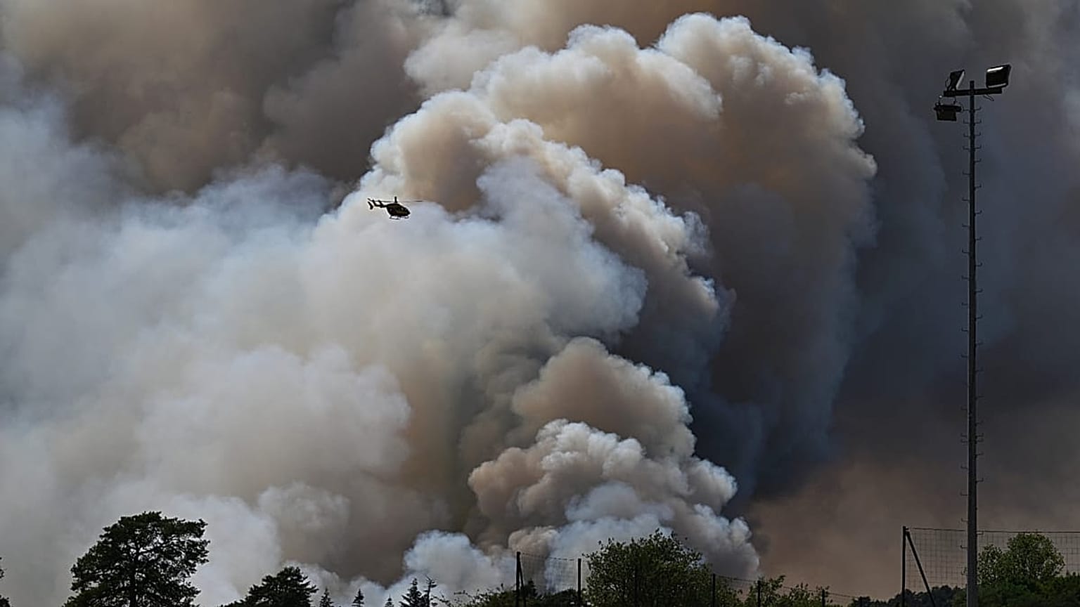 Les pompiers combattent l'incendie de la forêt de Fontainebleau, le 13 juillet 2026