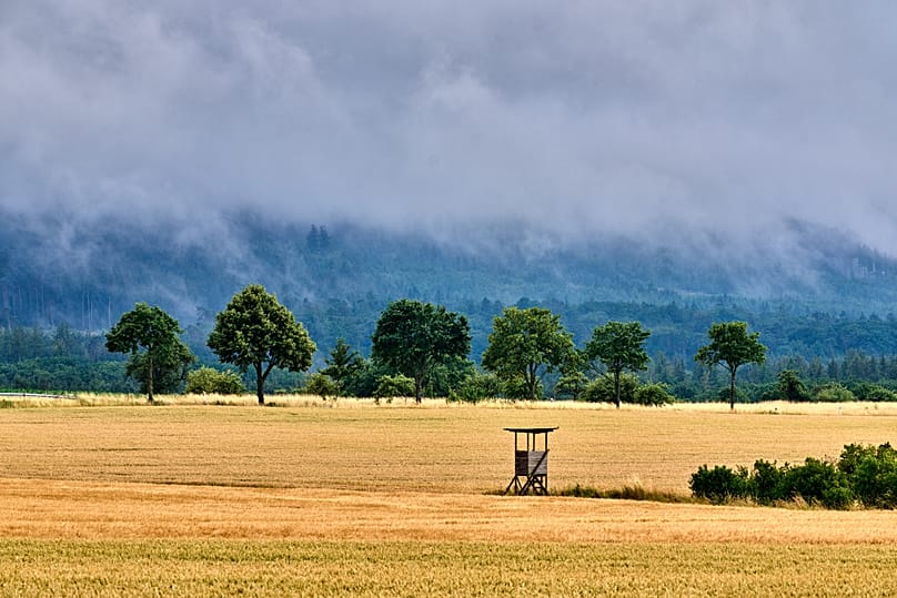 Trotz sommerlichem Hochdruckeinfluss bleibt das Wetter in Deutschland instabil: Der DWD warnt vor kräftigen Gewittern mit Starkregen, Hagel und Überschwemmungsgefahr.