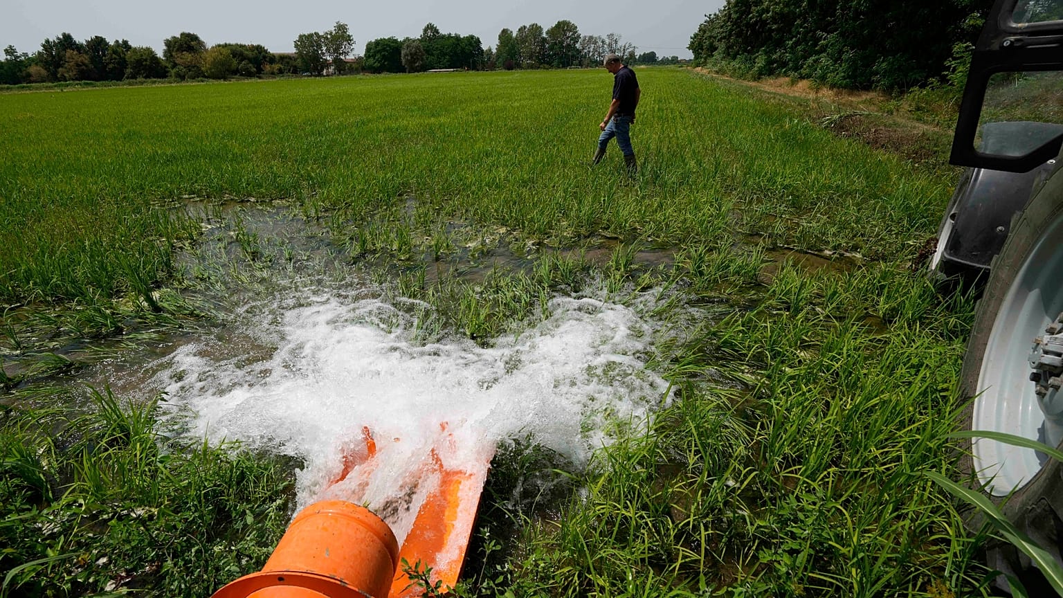 Rice farmer Giovanni Daghetta walks on a rice field as the dewatering pump gets water from a channel to a dried rice field, in Mortara, Lomellina area, Italy, Monday, June 27,
