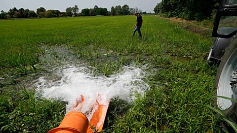 El agricultor arrocero Giovanni Daghetta camina por un arrozal mientras una bomba extrae agua de un canal hacia un campo seco, en Mortara, Lomellina, Italia, lunes 27 de junio
