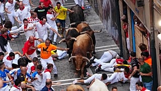 San-Fermín-Fest: Feiernde laufen am zwölften Juli 2026 beim sechsten Stierlauf neben La Palmosillas Kampfstier.